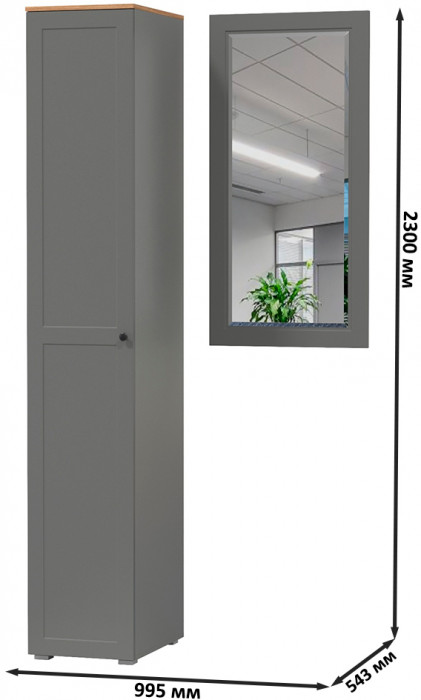 Остин Прихожая 12, цвет серый графит/дуб крафт золотой, ШхГхВ 99,5х54,3х229,6 см., универсальная сборка