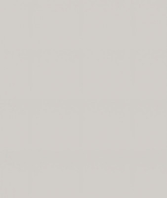 Ф-231 Альфа Фальшпанель (ШВ 300х920 - ШВ 800х920) холст белый