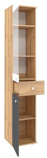 Шкаф МЦН Лойс 82