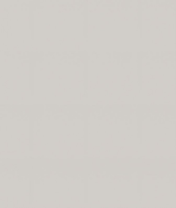 Ф-92 Альфа (ШПД 600, ШН1200) МДФ холст белый